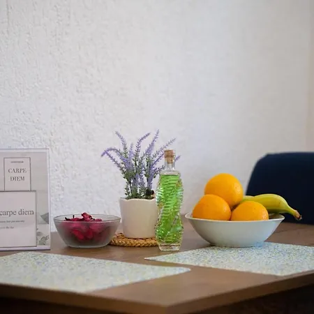 Carpe Diem In Kosinozici - Istrien Guest house