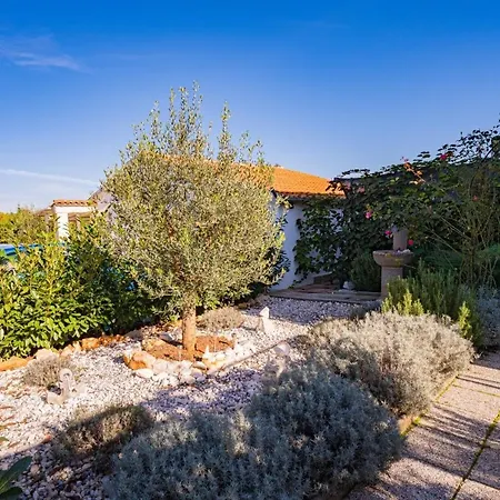 Guest house Carpe Diem In Kosinozici - Istrien Vrznaveri