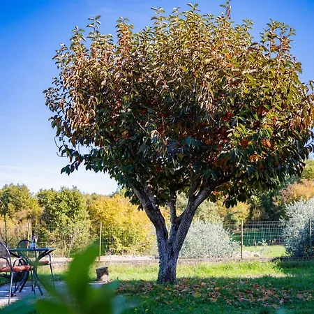Guest house Carpe Diem In Kosinozici - Istrien