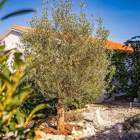 Carpe Diem In Kosinozici - Istrien Guest house *
