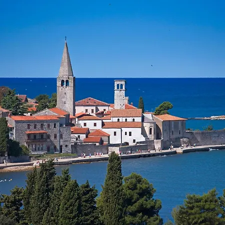 Carpe Diem In Kosinozici - Istrien Guest house