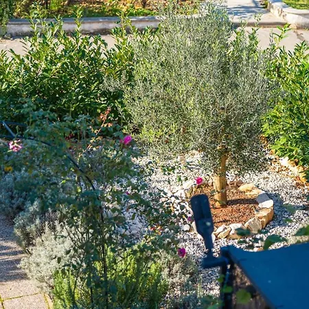 Guest house Carpe Diem In Kosinozici - Istrien *